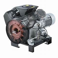 Spiral Lobe Air Compressors